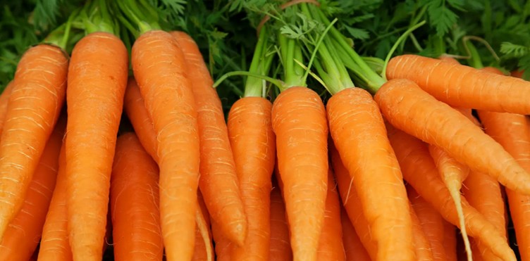 Carrots