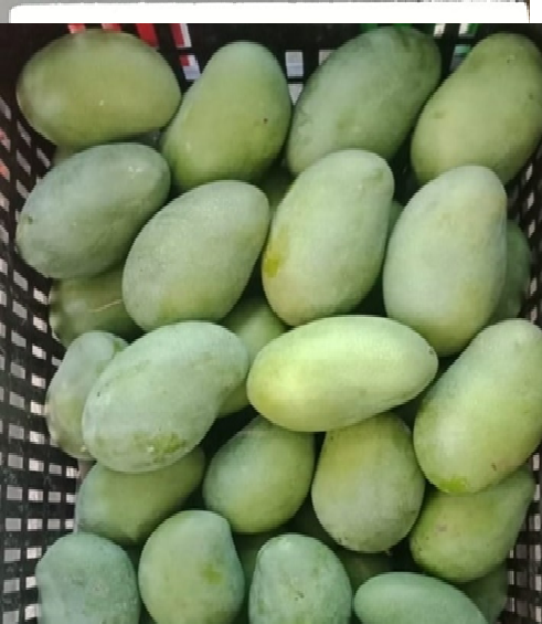 Mangoes
